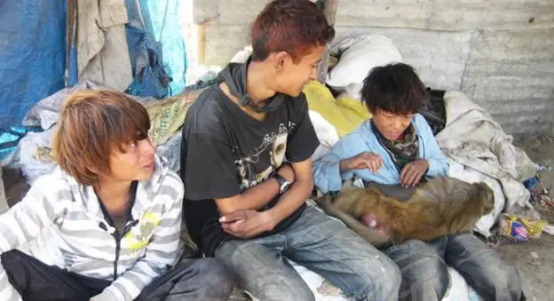 Image 6 - Rebuilding Nepal Together